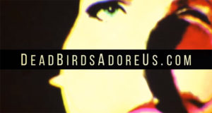 Dead Birds Adore Us promotional video Draygo Indianapolis Indiana Live Visuals VJ